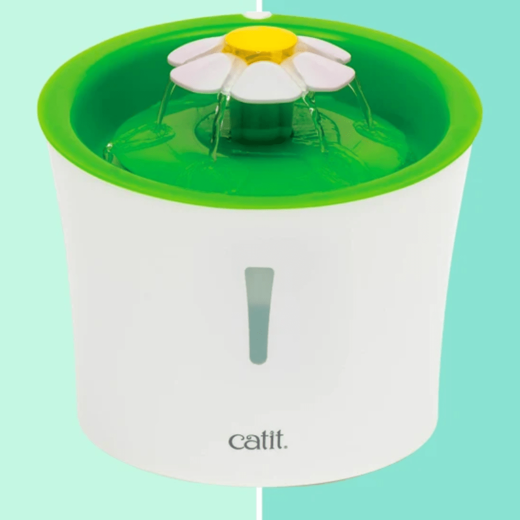 Catit water fountain